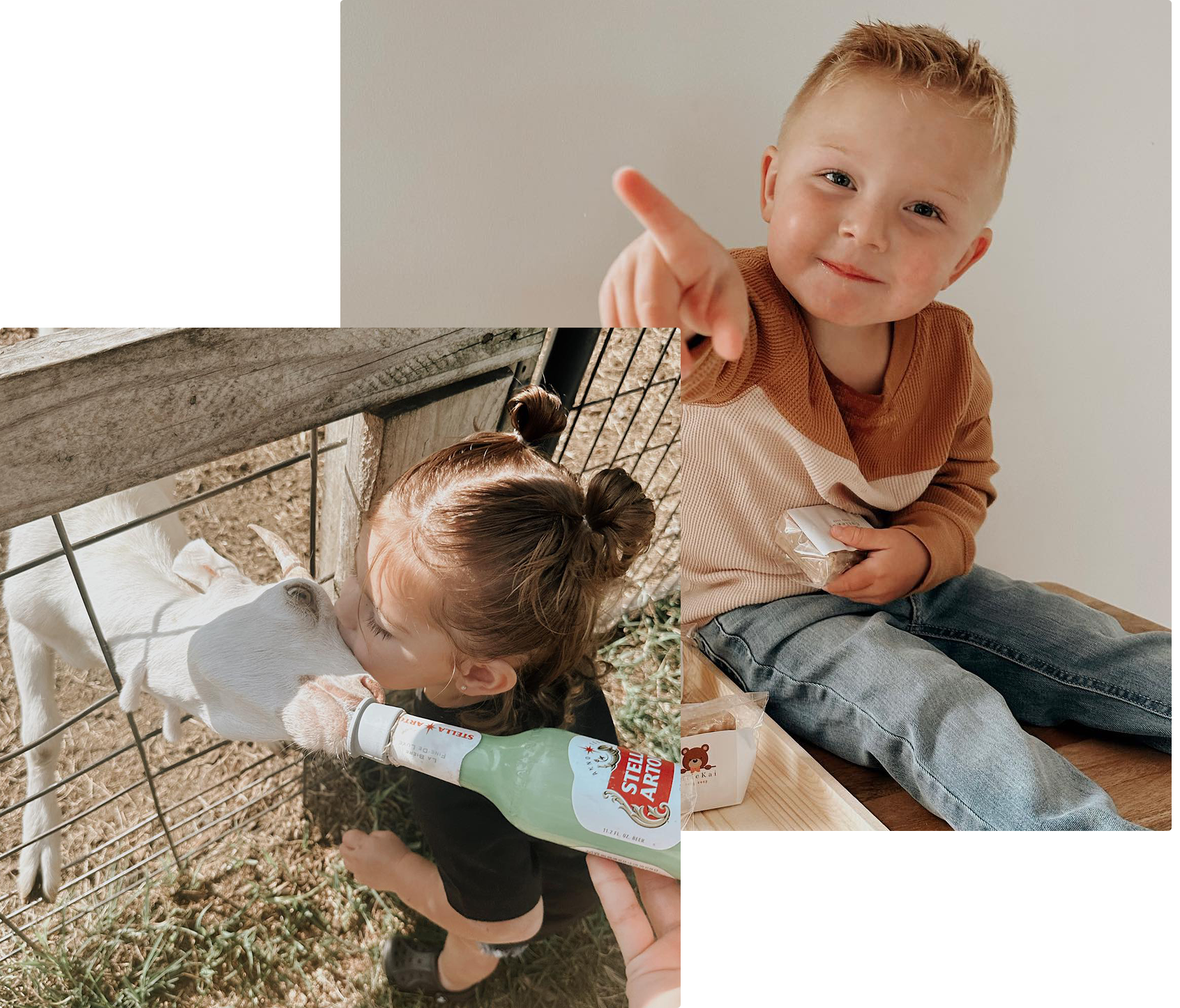 about-bubble-goat-soaps